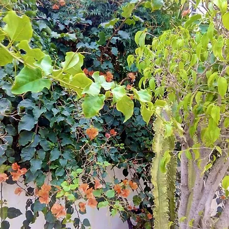 בית נופש Casa En Con Parrillero
